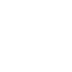 cerco electrico