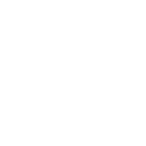 seguridad